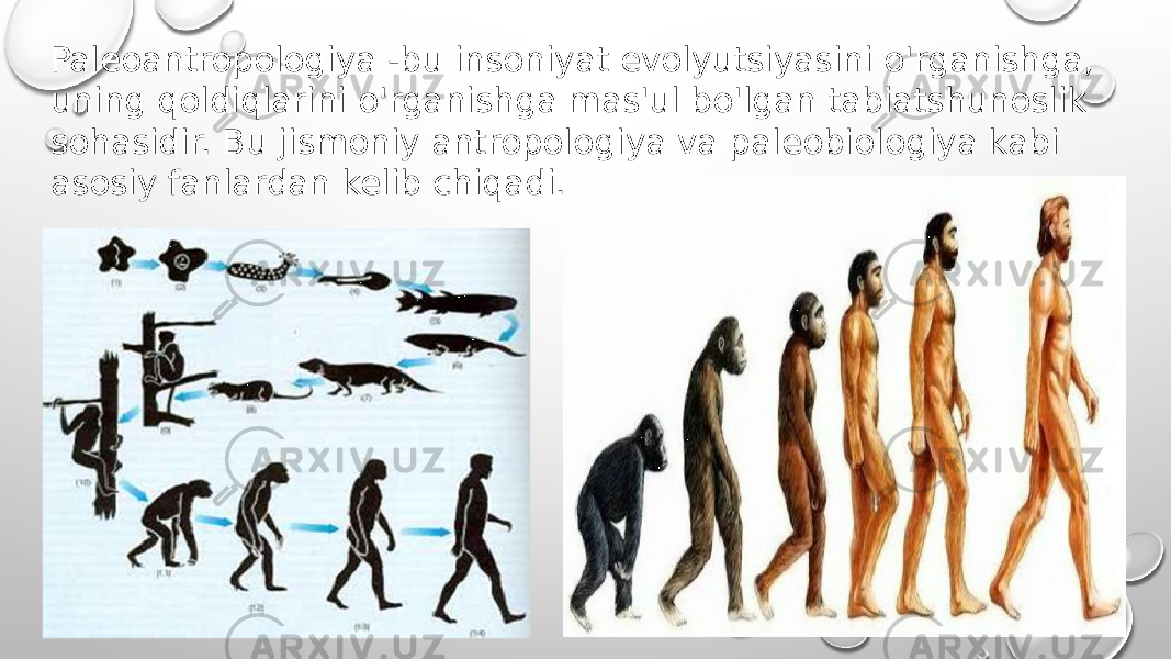 Paleoantropologiya -bu insoniyat evolyutsiyasini o&#39;rganishga, uning qoldiqlarini o&#39;rganishga mas&#39;ul bo&#39;lgan tabiatshunoslik sohasidir. Bu jismoniy antropologiya va paleobiologiya kabi asosiy fanlardan kelib chiqadi. 
