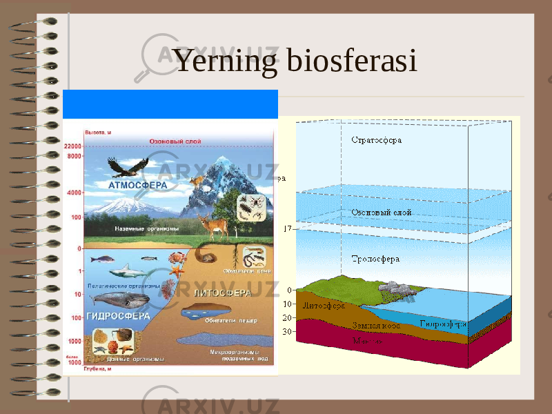 Yerning biosferasi 