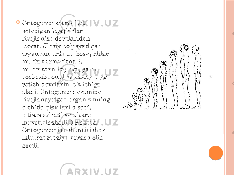  Ontogenez ketma-ket keladigan bosqichlar rivojlanish davrlaridan iborat. Jinsiy ko payadigan ʻ organizmlarda bu bos-qichlar murtak (embrional), murtakdan keyingi, ya ni ʼ postembrional va ba-log atga ʻ yetish davrlarini o z ichiga ʻ oladi. Ontogenez davomida rivojlanayotgan organizmning alohida qismlari o sadi, ʻ ixtisoslashadi va o zaro ʻ muvofiklashadi. 18-asrda Ontogenezni tushuntirishda ikki konsepsiya kurash olib bordi. 