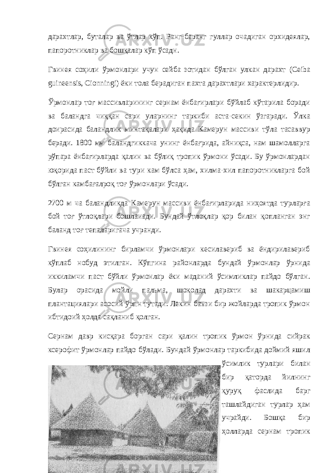 дарахтлар, буталар ва ўтлар кўп. Ранг-баранг гуллар очадиган орхидеялар, папоротниклар ва бошқалар кўп ўсадн. Гвинея соҳили ўрмонлари учун сейба зотидан бўлган улкан дарахт (Ceiba guineensis, С ionningi) ёки тола берадиган пахта дарахтлари характерлидир. Ўрмонлар тоғ массивларининг сернам ёнбағирлари бўйлаб кўтарила боради ва баландга чиққан сари уларнинг таркиби аста-секин ўзгаради. Ўлка доирасида баландлик минтақалари ҳақида Камерун массиви тўла тасаввур беради. 1800 мм баландгиккача унинг ёнбағрида, айниқса, нам шамолларга рўпара ёнбағирларда қалин ва бўлиқ тропик ўрмони ўсади. Бу ўрмонлардан юқорида паст бўйли ва тури кам бўлса ҳам, хилма-хил папоротникларга бой бўлган камбағалроқ тоғ ўрмонлари ўсади. 2700 м ча баландликда Камерун массиви ёнбағирларида ниҳоятда турларға бой тоғ ўтлоқлари бошлаиади. Бундай ўтлоқлар қор билан қопланган энг баланд тоғ тепаларигача учранди. Гвинея соҳилининг бирламчи ўрмонлари кесилавериб ва ёндирилавериб кўплаб нобуд этилган. Кўпгина районларда бундай ўрмонлар ўрнида иккиламчи паст бўйли ўрмонлар ёки маданий ўсимликлар пайдо бўлган. Булар орасида мойли пальма, шоколад дарахти ва шакарцамиш плантациялари асосий ўрпн тутади. Лекин баъзи бир жойларда тропик ўрмон ибтидоий ҳолда сақланиб қолган. Сернам давр кисқара борган сари қалин тропик ўрмон ўрнида сийрак ксерофит ўрмонлар пайдо бўлади. Бундай ўрмонлар таркибида доймий яшил ўсимлик турлари билан бир қаторда йилнинг қуруқ фаслида барг ташлайдиган турлар ҳам учрайди. Бошқа бир ҳолларда сернам тропик 