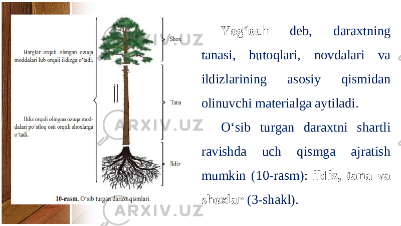 Yog‘och deb, daraxtning tanasi, butoqlari, novdalari va ildizlarining asosiy qismidan olinuvchi materialga aytiladi. O‘sib turgan daraxtni shartli ravishda uch qismga ajratish mumkin (10-rasm): ildiz, tana va shoxlar (3-shakl). 