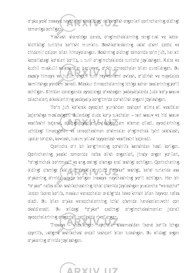 о‘pka yoki traxeya naychalari shaklidagi nafas olish organlari qorinchaning oldingi tomoniga ochilgan. Yashash sharoitiga qarab, о‘rgimchaklarning rangi-tusi va katta- kichikligi turlicha bо‘lishi mumkin. Boshkо‘krakning ustki qismi qattiq va chidamli qalqon bilan himoyalangan. Boshning oldingi tomonida tо‘rt juft, har xil kattalikdagi kо‘zlari bо‘lib, u turli о‘rgimchaklarda turlicha joylashgan. Kalta va kuchli muskulli xeletseralar baquvvat, о‘tkir tirnoqchalar bilan qurollangan. Bu asosiy himoya va hujum organi turli hayvonlarni ovlash, о‘ldirish va maydalab kemirishga yordam beradi. Mazkur tirnoqchalarning ichiga zahar bezlarining yо‘li ochilgan. Sirtidan qaralganda oyoqlarga о‘xshagan pedepalplarda juda kо‘p sezuv tolachalari; erkaklarining pedepalp bо‘g‘imida qо‘shilish organi joylashgan. Tо‘rt juft kо‘krak oyoqlari yurishdan tashqari xilma-xil vazifalar bajarishga moslashgan. Bulardagi duda kо‘p tukchalar – teri sezuv va hid sezuv vazifasini bajarsa, oldingi oyoqlari ovlashga ham xizmat qiladi. oyoqlarining uchidagi ilmoqsimon va taroqchasimon о‘simtalar о‘rgimchak ipini tekislash, uyalar tо‘qish, kovlash, tuxum pillasi tayyorlash vazifasini bajaradi. Qorincha о‘n bir bо‘g‘imning qо‘shilib ketishidan hosil bо‘lgan. Qorinchaning pastki tomonida nafas olish organlari, jinsiy organ yо‘llari, “о‘rgimchak bо‘rtmasi” va eng oxirgi qismga anal teshigi ochilgan. Qorinchaning oldingi qismiga ikki juft (yoki bir juft) “о‘pka” teshigi, ba’zi turlarida esa о‘pkaning о‘rnida paydo bо‘lgan traxeya naychasining yо‘li ochilgan. Har bir “о‘pka” nafas olish teshikchasining ichki qismida joylashgan yuzlarcha “varaqcha” lardan iborat bо‘lib, mazkur varaqchalar oralig‘ida havo kirishi bilan hayvon nafas oladi. Bu bilan о‘pka varaqchalarining ichki qismida harakatlanuvchi qon oksidlanadi. Bu xildagi “о‘pka” qadimgi о‘rgimchaksimonlar jabrali oyoqchalarining о‘zgarishi natijasida rivojlangan. Traxeya – shoxlangan naychalar sistemasidan iborat bо‘lib ichga qayrilib, ustigma teshikchasi orqali tashqari bilan tutashgan. Bu xildagi organ о‘pkaning о‘rnida joylashgan. 