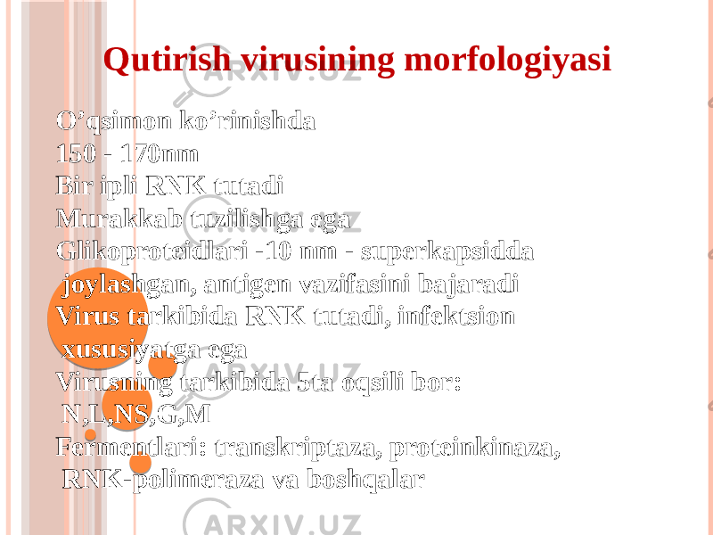 Qutirish virusining morfologiyasi Oʼqsimon koʼrinishda 150 - 170nm Bir ipli RNK tutadi Murakkab tuzilishga ega Glikoproteidlari -10 nm - superkapsidda joylashgan, antigen vazifasini bajaradi Virus tarkibida RNK tutadi, infektsion xususiyatga ega Virusning tarkibida 5ta oqsili bor: N,L,NS,G,M Fermentlari: transkriptaza, proteinkinaza, RNK-polimeraza va boshqalar 