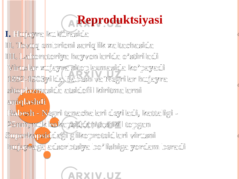 Reproduktsiyasi I. Hujayra kulturasida II. Tovuq embrioni sariqlik xaltachasida III. Laboratoriya hayvonlarida oʼstiriladi Viruslar xujayra sitoplazmasida koʼpayadi 1892-1903yilda Babesh va Negrilar hujayra sitoplazmasida atsidofil kiritmalarni aniqlashdi Babesh - Negri tanachalari deyiladi, kattaligi - 25nm, nukleokapsiddan tashkil topgan Superkapsiddagi glikoproteidlari virusni hujayraga adsorbtsiya boʼlishiga yordam beradi 