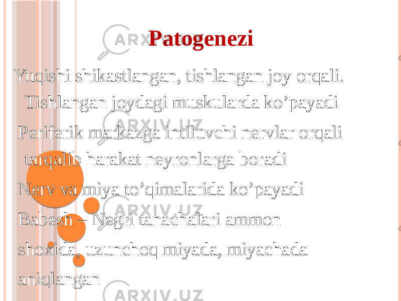 Patogenezi Yuqishi shikastlangan, tishlangan joy orqali. Tishlangan joydagi muskularda koʼpayadi Periferik markazga intiluvchi nervlar orqali tarqalib harakat neyronlarga boradi Nerv va miya toʼqimalarida koʼpayadi Babesh – Negri tanachalari ammon shoxida, uzunchoq miyada, miyachada aniqlangan 