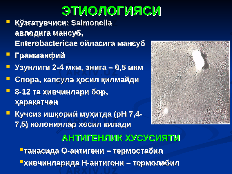 ЭТИОЛОГИЯСИЭТИОЛОГИЯСИ  ҚўзғатувчисиҚўзғатувчиси :: SalmonellaSalmonella авлодига мансуб, авлодига мансуб, EnterobactericaeEnterobactericae ойласига мансуб ойласига мансуб  ГрамманфийГрамманфий  Узунлиги 2-4 мкм, энига – 0,5 мкмУзунлиги 2-4 мкм, энига – 0,5 мкм  Спора, капсула ҳосил қилмайдиСпора, капсула ҳосил қилмайди  8-12 та хивчинлари бор, 8-12 та хивчинлари бор, ҳаракатчанҳаракатчан  Кучсиз ишқорий муҳитда (рН 7,4-Кучсиз ишқорий муҳитда (рН 7,4- 7,5) колониялар хосил килади7,5) колониялар хосил килади АНТИГЕНЛИК ХУСУСИЯТИАНТИГЕНЛИК ХУСУСИЯТИ  танасида О-антигени – термостабилтанасида О-антигени – термостабил  хивчинларида Н-антигени – термолабилхивчинларида Н-антигени – термолабил 