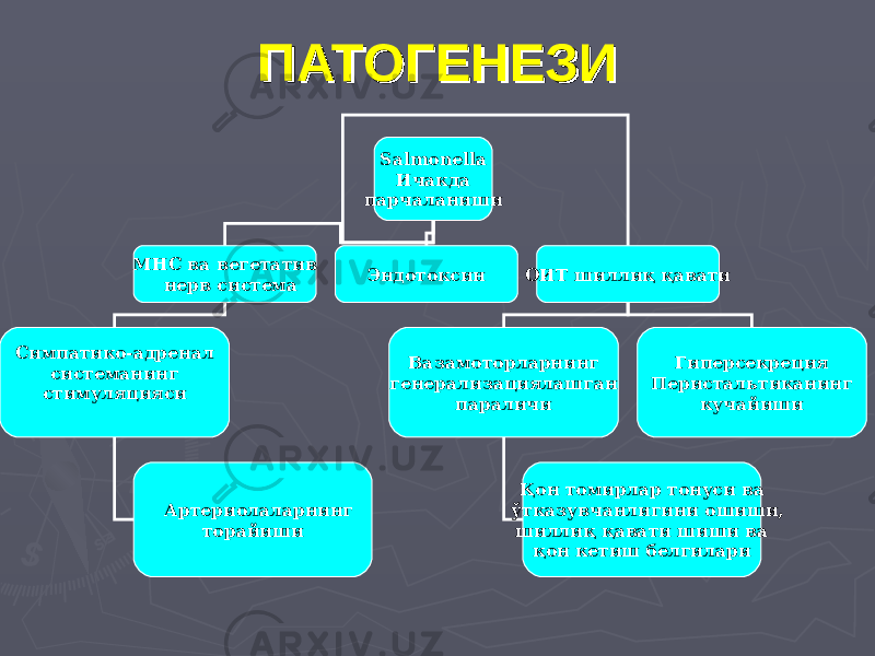 ПАТОГЕНЕЗИПАТОГЕНЕЗИ Salmonella Ичакда парчаланиши МНС ва вегетатив нерв система Эндотоксин ОИТ шиллиқ қавати Симпатико-адренал системанинг стимуляцияси Вазамоторларнинг генерализациялашган параличи Гиперсекреция Перистальтиканинг кучайиши Қон томирлар тонуси ва ўтказувчанлигини ошиши, шиллиқ қавати шиши ва қон кетиш белгилари Артериолаларнинг торайиши 