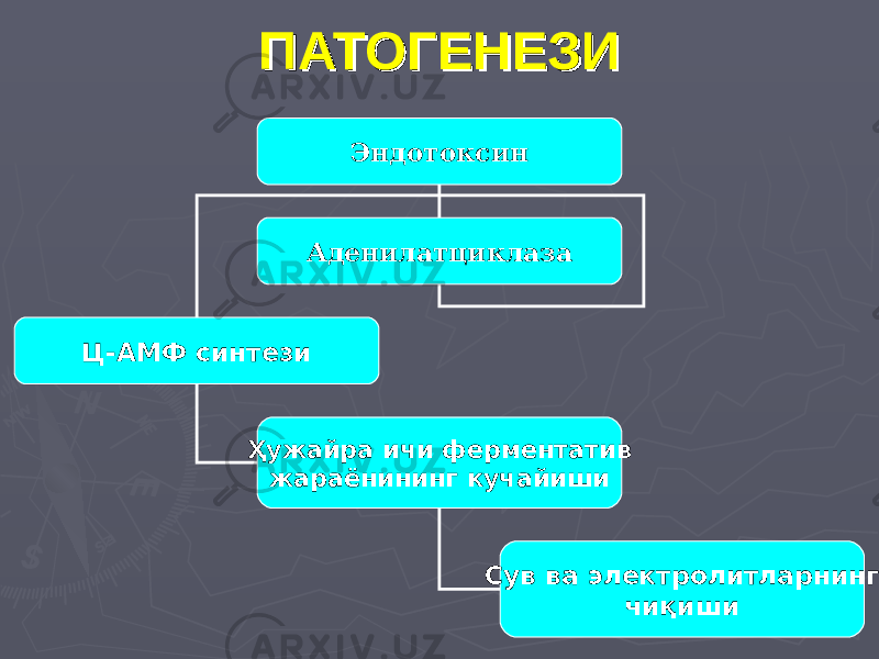 ПАТОГЕНЕЗИПАТОГЕНЕЗИ Эндотоксин Аденилатциклаза Ц-АМФ синтези Ҳужайра ичи ферментатив жараёнининг кучайиши Сув ва электролитларнинг чиқиши 