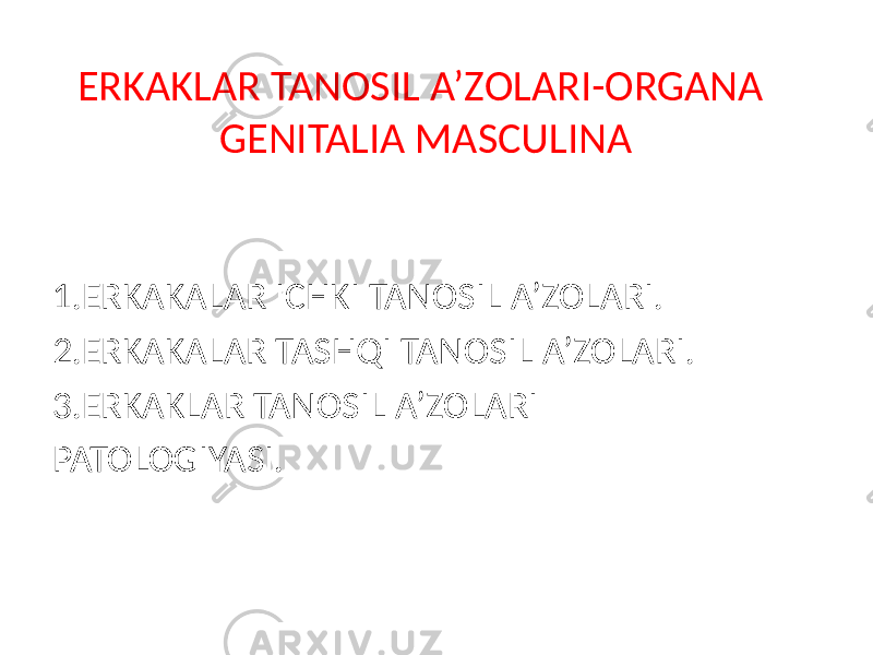 ERKAKLAR TANOSIL A’ZOLARI-ORGANA GENITALIA MASCULINA 1.ERKAKALAR ICHKI TANOSIL A’ZOLARI. 2.ERKAKALAR TASHQI TANOSIL A’ZOLARI. 3.ERKAKLAR TANOSIL A’ZOLARI PATOLOGIYASI. 