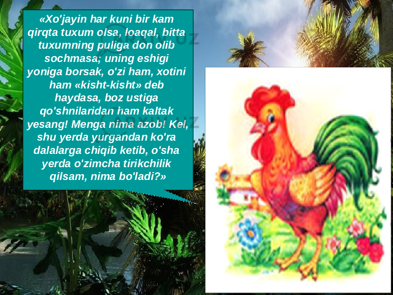 «Xo&#39;jayin har kuni bir kam qirqta tuxum olsa, loaqal, bitta tuxumning puliga don olib sochmasa; uning eshigi yoniga borsak, o&#39;zi ham, xotini ham «kisht-kisht» deb haydasa, boz ustiga qo&#39;shnilaridan ham kaltak yesang! Menga nima azob! Kel, shu yerda yurgandan ko&#39;ra dalalarga chiqib ketib, o&#39;sha yerda o&#39;zimcha tirikchilik qilsam, nima bo&#39;ladi?» 