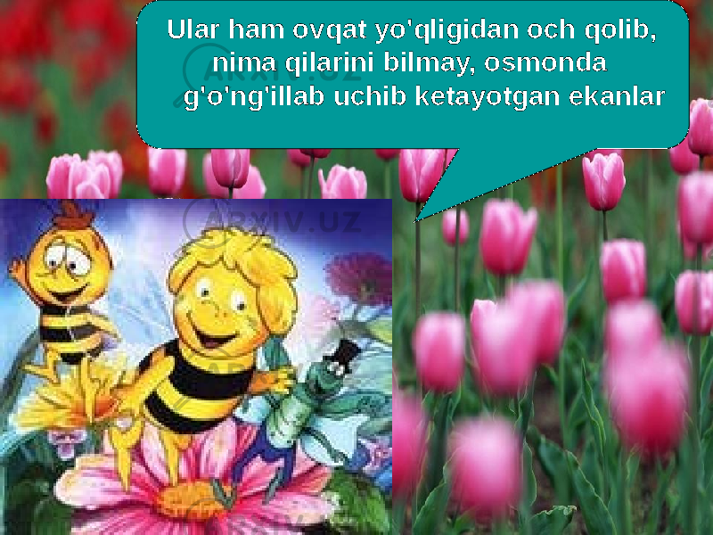  Ular ham ovqat yo&#39;qligidan och qolib, nima qilarini bilmay, osmonda g&#39;o&#39;ng&#39;illab uchib ketayotgan ekanlar 