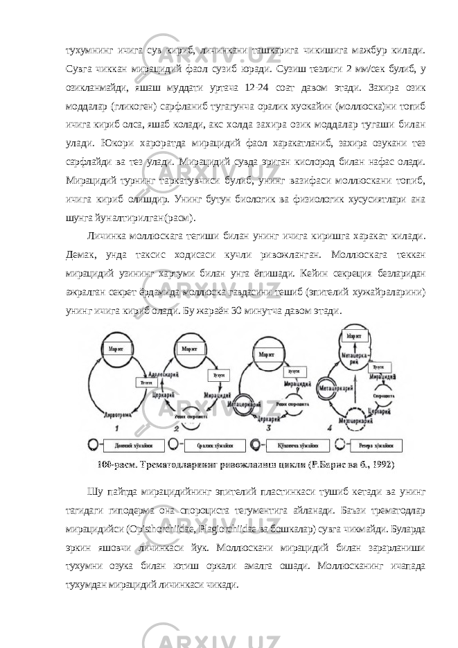 тухумнинг ичига сув кириб, личинкани ташкарига чикишига мажбур килади. Сувга чиккан мирацидий фаол сузиб юради. Сузиш тезлиги 2 мм/сек булиб, у озикланмайди, яшаш муддати уртача 12-24 соат давом этади. Захира озик моддалар (гликоген) сарфланиб тугагунча оралик хуокайин (моллюска)ни топиб ичига кириб олса, яшаб колади, акс холда захира озик моддалар тугаши билан улади. Юкори хароратда мирацидий фаол харакатланиб, захира озукани тез сарфлайди ва тез улади. Мирацидий сувда эриган кислород билан нафас олади. Мирацидий турнинг таркатувчиси булиб, унинг вазифаси моллюскани топиб, ичига кириб олишдир. Унинг бутун биологик ва физиологик хусусиятлари ана шунга йуналтирилган(расм). Личинка моллюскага тегиши билан унинг ичига киришга харакат килади. Демак, унда таксис ходисаси кучли ривожланган. Моллюскага теккан мирацидий узининг хартуми билан унга ёпишади. Кейин секреция безларидан ажралган секрет ёрдамида моллюска гавдасини тешиб (эпителий хужайраларини) унинг ичига кириб олади. Бу жараён 30 минутча давом этади. Шу пайтда мирацидийнинг эпителий пластинкаси тушиб кетади ва унинг тагидаги гиподерма она спороциста тегументига айланади. Баъзи трематодлар мирацидийси ( Opisthorchiidae , Plagiorchiidae ва бошкалар) сувга чикмайди. Буларда эркин яшовчи личинкаси йук. Моллюскани мирацидий билан зарарланиши тухумни озука билан ютиш оркали амалга ошади. Моллюсканинг ичапада тухумдан мирацидий личинкаси чикади. 