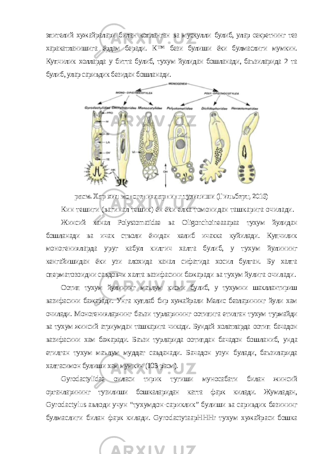 эпителий хужайралари билан копланган ва мускулли булиб, улар секретнинг тез харакатланишига ёрдам беради. К ™ бези булиши ёки булмаслиги мумкин. Купчилик холларда у битта булиб, тухум йулидан бошланади, баъзиларида 2 та булиб, улар саривдик безидан бошланади. расм. Хар хил моногенияларнинг тузилиши (Гильберт, 2016) Кин тешиги (вагинал тешик) ён ёки елка томонидан ташкарига очилади. Жинсий канал Polystomatidae ва Oligonchoineaaapaa тухум йулидан бошланади ва ичак стволи ёнидан келиб ичакка куйилади. Купчилик моногенияларда уруг кабул килгич халта булиб, у тухум йулининг кенгайишидан ёки узи алохида канал сифатида хосил булган. Бу халта сперматозоидни савдовчи халта вазифасини бажаради ва тухум йулига очилади. Оотип тухум йулининг маълум кисми булиб, у тухумни шакллантириш вазифасини бажаради. Унга куплаб бир хужайрали Мелис безларининг йули хам очилади. Моногенияларнинг баъзи турларининг оотипига етилган тухум турмайди ва тухум жинсий атриумдан ташкарига чикади. Бундай холатларда оотип бачадон вазифасини хам бажаради. Баъзи турларида оотипдан бачадон бошланиб, унда етилган тухум маълум муддат савданади. Бачадон узун булади, баъзиларида халтасимон булиши хам мумкин (103-расм). Gyrodactylidae оиласи тирик тугиши муносабати билан жинсий органларининг тузилиши бошкаларидан катта фарк килади. Жумладан, Gyrodactylus авлоди учун “тухумдон-сариклик” булиши ва саривдик безининг булмаслиги билан фарк килади. GyrodactytaapHHHr тухум хужайраси бошка 