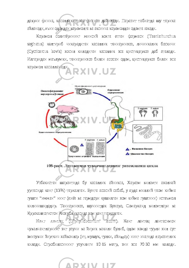 даврни финна, касалликни эса финноз дейилади. Паразит табиатда шу тарика айланади, яъни одамдан корамолга ва аксинча корамолдан одамга юкади. Корамол солитёрининг жинсий вояга етган формаси ( Taeniarhunchus saginatus ) келтириб чикарадиган касаллик тениаринхоз, личинкалик боскичи ( Cycticercus bovis ) хосил киладиган касаллик эса цистицеркоз деб аталади. Илгаридан маълумки, тениаринхоз билан асосан одам, цистицеркоз билан эса корамол касалланади . Узбекистан шароитида бу касаллик айникса, Хоразм вилояти ахолией уртасида кенг (13%) таркалган. Бунга асосий сабаб, у ерда миллий таом кийма гушти “ижжан” нинг (пиёз ва гармдори кушилган хом кийма гуштини) истеъмол килинишидадир. Тениаринхоз, шунингдек Бухоро, Самарканд вилоятлари ва Крракалпогистон Республикасида хам кенг таркалган. Кенг лентец ( Diphyllobotrium latum ). Кенг лентец лентасимон чувалчангларнинг энг узуни ва йирик вакили булиб, одам хамда турли хил сут эмизувчи йирткич хайвонлар (ит, мушук, тулки, айи ВД ар) нинг ичагида паразитлик килади. Стробиласининг узунлиги 10-15 метр, эни эса 20-30 мм келади. 