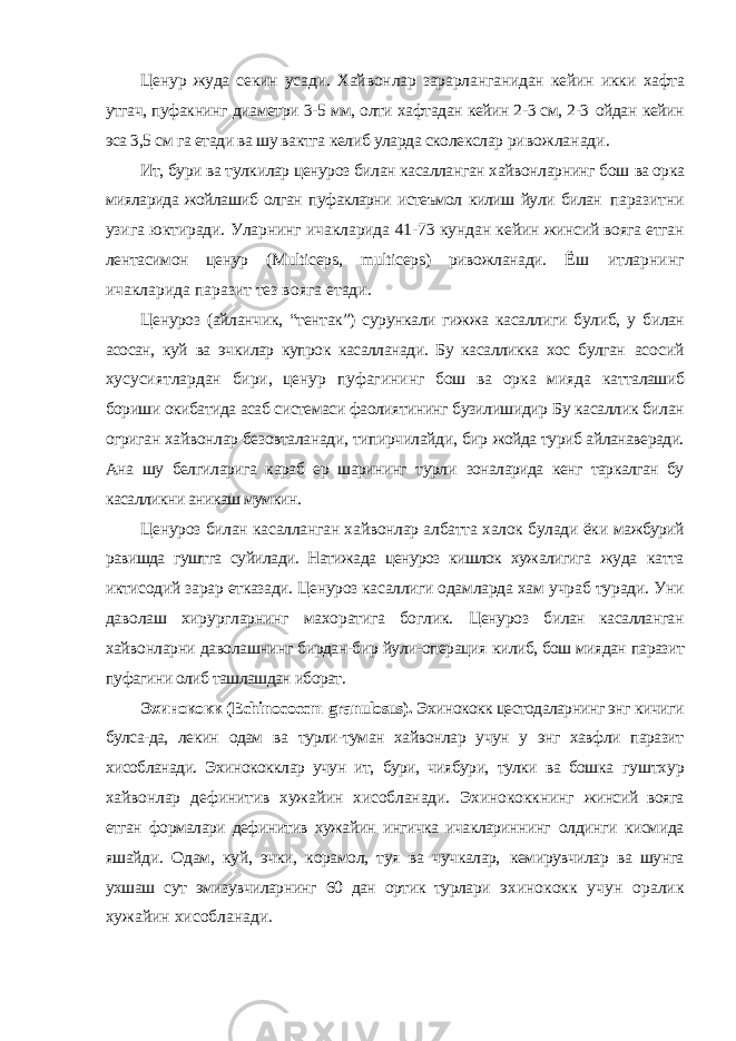 Ценур жуда секин усади. Хайвонлар зарарланганидан кейин икки хафта утгач, пуфакнинг диаметри 3-5 мм, олти хафтадан кейин 2-3 см, 2-3 ойдан кейин эса 3,5 см га етади ва шу вактга келиб уларда сколекслар ривожланади. Ит, бури ва тулкилар ценуроз билан касалланган хайвонларнинг бош ва орка мияларида жойлашиб олган пуфакларни истеъмол килиш йули билан паразитни узига юктиради. Уларнинг ичакларида 41-73 кундан кейин жинсий вояга етган лентасимон ценур ( Multiceps , multiceps ) ривожланади. Ёш итларнинг ичакларида паразит тез вояга етади. Ценуроз (айланчик, “тентак”) сурункали гижжа касаллиги булиб, у билан асосан, куй ва эчкилар купрок касалланади. Бу касалликка хос булган асосий хусусиятлардан бири, ценур пуфагининг бош ва орка мияда катталашиб бориши окибатида асаб системаси фаолиятининг бузилишидир Бу касаллик билан огриган хайвонлар безовталанади, типирчилайди, бир жойда туриб айланаверади. Ана шу белгиларига караб ер шарининг турли зоналарида кенг таркалган бу касалликни аникаш мумкин. Ценуроз билан касалланган хайвонлар албатта халок булади ёки мажбурий равишда гуштга суйилади. Натижада ценуроз кишлок хужалигига жуда катта иктисодий зарар етказади. Ценуроз касаллиги одамларда хам учраб туради. Уни даволаш хирургларнинг махоратига боглик. Ценуроз билан касалланган хайвонларни даволашнинг бирдан-бир йули-операция килиб, бош миядан паразит пуфагини олиб ташлашдан иборат. Эхинококк ( Echinococcm granulosus ). Эхинококк цестодаларнинг энг кичиги булса-да, лекин одам ва турли-туман хайвонлар учун у энг хавфли паразит хисобланади. Эхинококклар учун ит, бури, чиябури, тулки ва бошка гуштхур хайвонлар дефинитив хужайин хисобланади. Эхинококкнинг жинсий вояга етган формалари дефинитив хужайин ингичка ичаклариннинг олдинги кисмида яшайди. Одам, куй, эчки, корамол, туя ва чучкалар, кемирувчилар ва шунга ухшаш сут эмизувчиларнинг 60 дан ортик турлари эхинококк учун оралик хужайин хисобланади. 