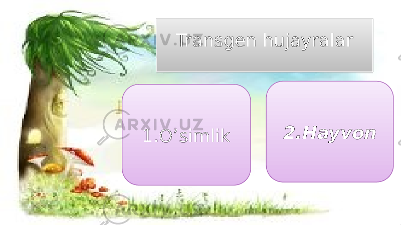 13Transgen hujayralar 1.O’simlik 2.Hayvon 01 08 38 01 09 