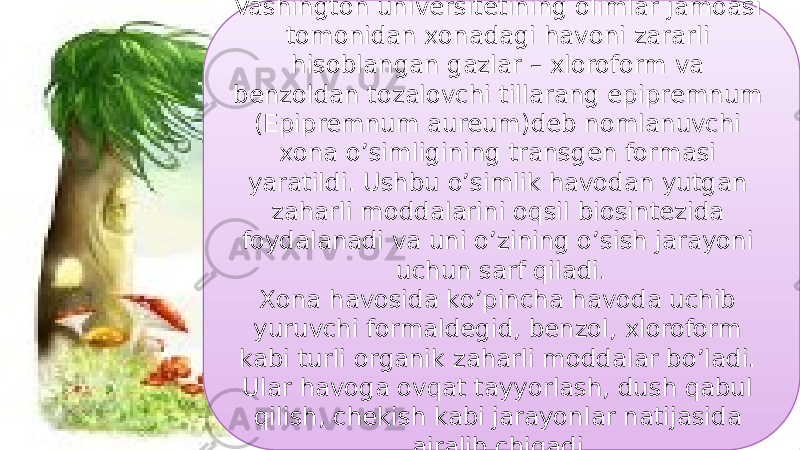 15Vashington universitetining olimlar jamoasi tomonidan xonadagi havoni zararli hisoblangan gazlar – xloroform va benzoldan tozalovchi tillarang epipremnum (Epipremnum aureum)deb nomlanuvchi xona o’simligining transgen formasi yaratildi. Ushbu o’simlik havodan yutgan zaharli moddalarini oqsil biosintezida foydalanadi va uni o’zining o’sish jarayoni uchun sarf qiladi. Xona havosida ko’pincha havoda uchib yuruvchi formaldegid, benzol, xloroform kabi turli organik zaharli moddalar bo’ladi. Ular havoga ovqat tayyorlash, dush qabul qilish, chekish kabi jarayonlar natijasida ajralib chiqadi. 2F 11 09 0F 48 12 0C 14 17 0A 30 0C0A 1F 47 1C 03 