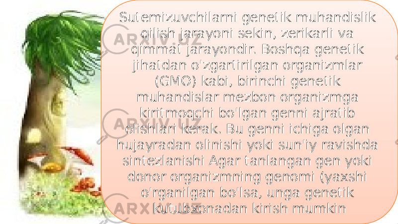 21Sutemizuvchilarni genetik muhandislik qilish jarayoni sekin, zerikarli va qimmat jarayondir. Boshqa genetik jihatdan o&#39;zgartirilgan organizmlar (GMO) kabi, birinchi genetik muhandislar mezbon organizmga kiritmoqchi bo&#39;lgan genni ajratib olishlari kerak. Bu genni ichiga olgan hujayradan olinishi yoki sun&#39;iy ravishda sintezlanishi Agar tanlangan gen yoki donor organizmning genomi (yaxshi o&#39;rganilgan bo&#39;lsa, unga genetik kutubxonadan kirish mumkin 3E 1C 1C 0B 48 150A09 1F0E 10 09 050E 24 10 1F 