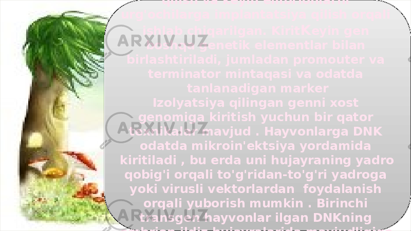 22embrionlarga virus DNKsini in&#39;ektsiya qilish va keyin embrionlarni urg&#39;ochilarga implantatsiya qilish orqali ishlab chiqarilgan. Kirit K eyin gen boshqa genetik elementlar bilan birlashtiriladi, jumladan promouter va terminator mintaqasi va odatda tanlanadigan marker Izolyatsiya qilingan genni xost genomiga kiritish yuchun bir qator texnikalar mavjud . Hayvonlarga DNK odatda mikroin&#39;ektsiya yordamida kiritiladi , bu erda uni hujayraning yadro qobig&#39;i orqali to&#39;g&#39;ridan-to&#39;g&#39;ri yadroga yoki virusli vektorlardan foydalanish orqali yuborish mumkin . Birinchi transgen hayvonlar ilgan DNKning embrion ildiz hujayralarida mavjudligiga ishonch hosil qilish kerak . 14 1F 20 0B1219 33 14 25 25 17 17 35 1E 17 16 24 1F 0A16 16 17 14 0B1219 1B 