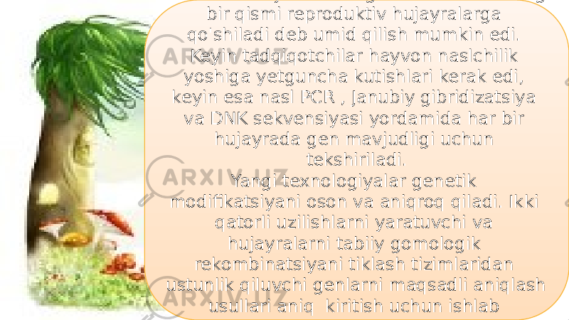 23E mbrion rivojlanadi va genetik materialning bir qismi reproduktiv hujayralarga qo&#39;shiladi deb umid qilish mumkin edi. Keyin tadqiqotchilar hayvon naslchilik yoshiga yetguncha kutishlari kerak edi, keyin esa nasl PCR , Janubiy gibridizatsiya va DNK sekvensiyasi yordamida har bir hujayrada gen mavjudligi uchun tekshiriladi. Yangi texnologiyalar genetik modifikatsiyani oson va aniqroq qiladi. Ikki qatorli uzilishlarni yaratuvchi va hujayralarni tabiiy gomologik rekombinatsiyani tiklash tizimlaridan ustunlik qiluvchi genlarni maqsadli aniqlash usullari aniq kiritish uchun ishlab chiqilgan . 4D 15 0F 1C 23 0C 1F 1E03 09 11 4F 15 1C 09 02 0A 0A 2709 28 