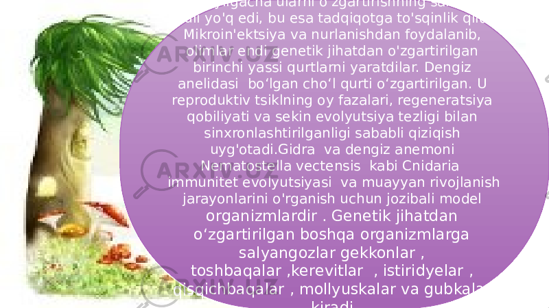 302017 yilgacha ularni o&#39;zgartirishning samarali usuli yo&#39;q edi, bu esa tadqiqotga to&#39;sqinlik qildi. Mikroin&#39;ektsiya va nurlanishdan foydalanib, olimlar endi genetik jihatdan o&#39;zgartirilgan birinchi yassi qurtlarni yaratdilar. Dengiz anelidasi boʻlgan choʻl qurti oʻzgartirilgan. U reproduktiv tsiklning oy fazalari, regeneratsiya qobiliyati va sekin evolyutsiya tezligi bilan sinxronlashtirilganligi sababli qiziqish uyg&#39;otadi.Gidra va dengiz anemoni Nematostella vectensis kabi Cnidaria immunitet evolyutsiyasi va muayyan rivojlanish jarayonlarini o&#39;rganish uchun jozibali model organizmlardir . Genetik jihatdan oʻzgartirilgan boshqa organizmlarga salyangozlar gekkonlar , toshbaqalar ,kerevitlar , istiridyelar , qisqichbaqalar , mollyuskalar va gubkalar kiradi. 29 0A05 35 10 0F 03 02 1C 05 0A0C 22 0E15 0B 10 10 0503 11 1C0E 1F0E 