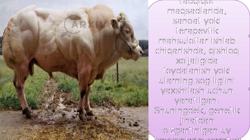 31GM sutemizuvchilar tadqiqot maqsadlarida, sanoat yoki terapevtik mahsulotlar ishlab chiqarishda, qishloq xo&#39;jaligida foydalanish yoki ularning sog&#39;lig&#39;ini yaxshilash uchun yaratilgan. Shuningdek, genetik jihatdan o&#39;zgartirilgan uy hayvonlarini yaratish bozori ham mavjud. 2C3508 110324 15031C 050304 1107 150309 27 12 17 0A0D 0C031205090E 0C 3E 0B 10 09 0F 