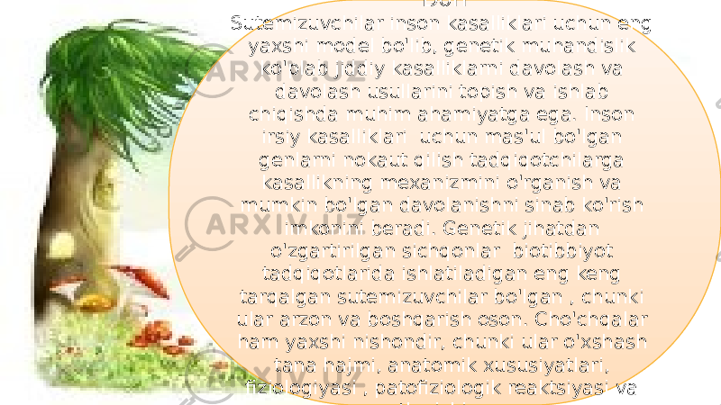 32Dori Sutemizuvchilar inson kasalliklari uchun eng yaxshi model bo&#39;lib, genetik muhandislik ko&#39;plab jiddiy kasalliklarni davolash va davolash usullarini topish va ishlab chiqishda muhim ahamiyatga ega. Inson irsiy kasalliklari uchun mas&#39;ul bo&#39;lgan genlarni nokaut qilish tadqiqotchilarga kasallikning mexanizmini o&#39;rganish va mumkin bo&#39;lgan davolanishni sinab ko&#39;rish imkonini beradi. Genetik jihatdan o&#39;zgartirilgan sichqonlar biotibbiyot tadqiqotlarida ishlatiladigan eng keng tarqalgan sutemizuvchilar bo&#39;lgan , chunki ular arzon va boshqarish oson. Cho&#39;chqalar ham yaxshi nishondir, chunki ular o&#39;xshash tana hajmi, anatomik xususiyatlari, fiziologiyasi , patofiziologik reaktsiyasi va ovqatlanishiga ega. 21 3E 0C 1F 24 27 0E 06 1F 150A 0E 10 11 11 0A 09 11 3A 10 