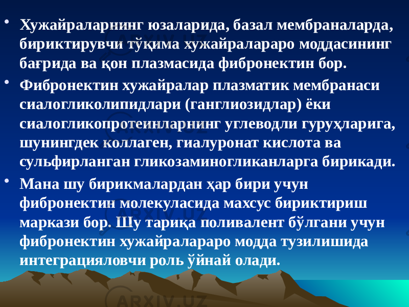 • Хужайраларнинг юзаларида, базал мембраналарда, бириктирувчи тўқима хужайралараро моддасининг бағрида ва қон плазмасида фибронектин бор. • Фибронектин хужайралар плазматик мембранаси сиалогликолипидлари (ганглиозидлар) ёки сиалогликопротеинларнинг углеводли гуруҳларига, шунингдек коллаген, гиалуронат кислота ва сульфирланган гликозаминогликанларга бирикади. • Мана шу бирикмалардан ҳар бири учун фибронектин молекуласида махсус бириктириш маркази бор. Шу тариқа поливалент бўлгани учун фибронектин хужайралараро модда тузилишида интеграцияловчи роль ўйнай олади. 