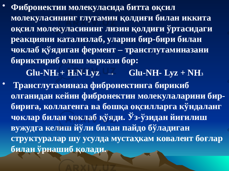 • Фибронектин молекуласида битта оқсил молекуласининг глутамин қолдиғи билан иккита оқсил молекуласининг лизин қолдиғи ўртасидаги реакцияни катализлаб, уларни бир-бири билан чоклаб қўядиган фермент – трансглутаминазани бириктириб олиш маркази бор: Glu-NH 2 + H 2 N-Lyz → Glu-NH- Lyz + NH 3 • Трансглутаминаза фибронектинга бирикиб олганидан кейин фибронектин молекулаларини бир- бирига, коллагенга ва бошқа оқсилларга кўндаланг чоклар билан чоклаб қўяди. Ўз-ўзидан йиғилиш вужудга келиш йўли билан пайдо бўладиган структуралар шу усулда мустаҳкам ковалент боғлар билан ўрнашиб қолади. 