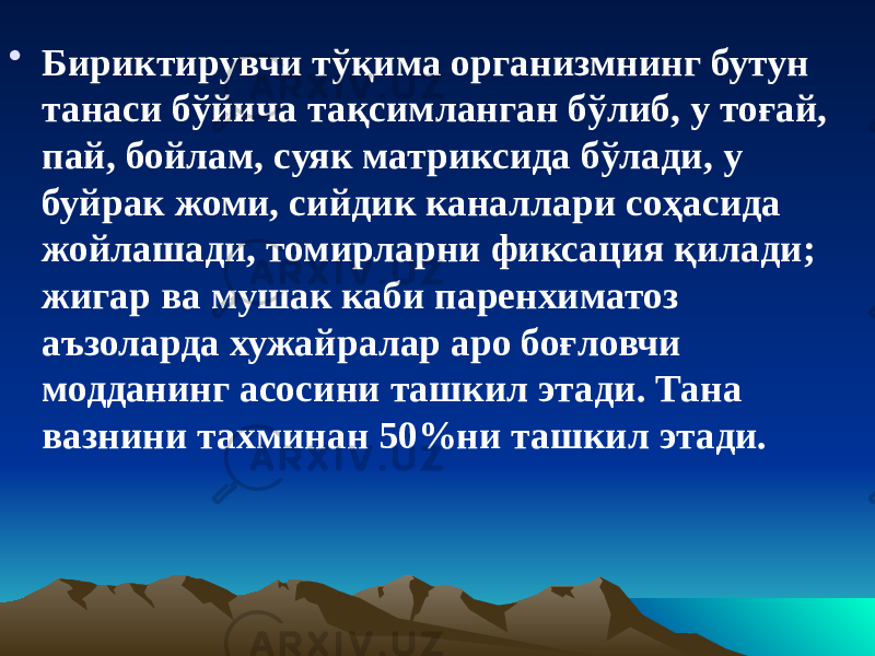 • Бириктирувчи тўқима организмнинг бутун танаси бўйича тақсимланган бўлиб, у тоғай, пай, бойлам, суяк матриксида бўлади, у буйрак жоми, сийдик каналлари соҳасида жойлашади, томирларни фиксация қилади; жигар ва мушак каби паренхиматоз аъзоларда хужайралар аро боғловчи модданинг асосини ташкил этади. Тана вазнини тахминан 50%ни ташкил этади. 