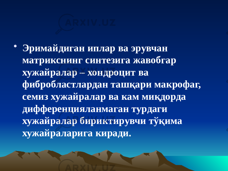 • Эримайдиган иплар ва эрувчан матрикснинг синтезига жавобгар хужайралар – хондроцит ва фибробластлардан ташқари макрофаг, семиз хужайралар ва кам миқдорда дифференцияланмаган турдаги хужайралар бириктирувчи тўқима хужайраларига киради. 