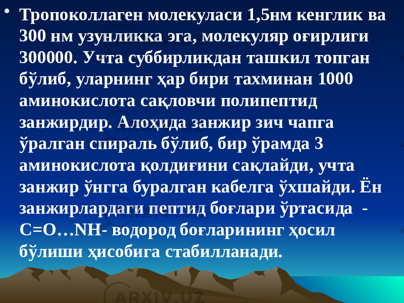 • Тропоколлаген молекуласи 1,5нм кенглик ва 300 нм узунликка эга, молекуляр оғирлиги 300000. Учта суббирликдан ташкил топган бўлиб, уларнинг ҳар бири тахминан 1000 аминокислота сақловчи полипептид занжирдир. Алоҳида занжир зич чапга ўралган спираль бўлиб, бир ўрамда 3 аминокислота қолдиғини сақлайди, учта занжир ўнгга буралган кабелга ўхшайди. Ён занжирлардаги пептид боғлари ўртасида - С=О…NH- водород боғларининг ҳосил бўлиши ҳисобига стабилланади. 