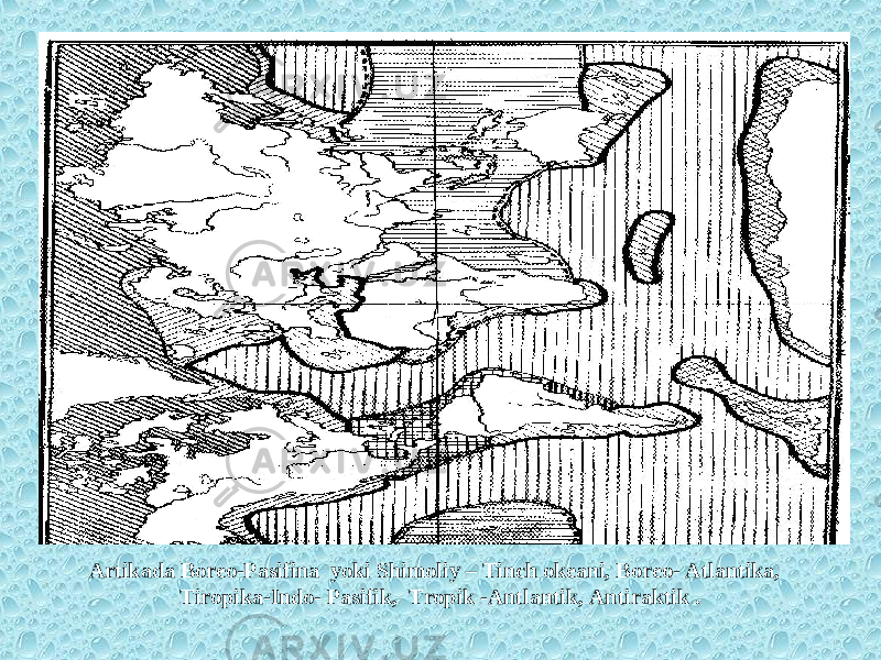  Artikada Boreo-Pasifina yoki Shimoliy – Tinch okeani, Boreo- Atlantika, Tiropika-Indo- Pasifik, Tropik -Antlantik, Antiraktik . 