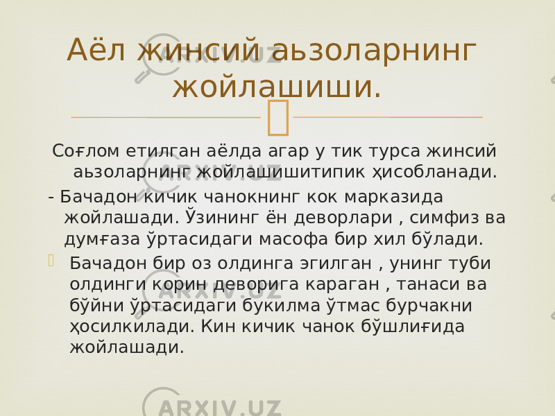  Соғлом етилган аёлда агар у тик турса жинсий аьзоларнинг жойлашишитипик ҳисобланади. - Бачадон кичик чанокнинг кок марказида жойлашади. Ўзининг ён деворлари , симфиз ва думғаза ўртасидаги масофа бир хил бўлади.  Бачадон бир оз олдинга эгилган , унинг туби олдинги корин деворига караган , танаси ва бўйни ўртасидаги букилма ўтмас бурчакни ҳосилкилади. Кин кичик чанок бўшлиғида жойлашади. Аёл жинсий аьзоларнинг жойлашиши. 