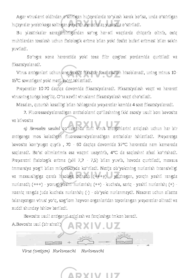 Agar viruslarni oldindan o’stirilgan hujayralarda to’plash kerak bo’lsa, unda o’stirilgan hujayralar probirkaga solingan yopqich oynachalar yuzasida o’stiriladi. Bu plastinkalar zararlantirilgandan so’ng har-xil vaqtlarda chiqarib olinib, oziq muhitlardan tozalash uchun fiziologik eritma bilan yoki fosfat buferi eritmasi bilan sekin yuviladi. So’ngra xona haroratida yoki toza filtr qog’ozi yordamida quritiladi va fiksatsiyalanadi. Virus antigenlari uchun eng yaxshi fiksator toza atseton hisoblanadi, uning minus 10- 15 0 C sovutilgani yoki metil spirti ishlatiladi. Preparatlar 10-20 daqiqa davomida fiksatsiyalanadi. Fiksatsiyalash vaqti va harorati virusning turiga bog’liq. O’ta xavfli viruslarni fiksatsiyalash vaqti cho’ziladi. Masalan, quturish kasalligi bilan ishlaganda preparatlar kamida 4 soat fiksatsiyalanadi. 2. Fluoressesiyalanadigan antitelolarni qo’llashning ikki asosiy usuli bor: bevosita va bilvosita a) Bevosita usulni qo’llaganda turli virus antigenlarini aniqlash uchun har bir antigenga mos keladigan fluoressensiyalanadigan antitelolar ishlatiladi. Preparatga bevosita kon’yugat quyib , 20 - 60 daqiqa davomida 37°C haroratda nam kamerada saqlanadi. Ba’zi olimlarimiz esa vaqtni uzaytirib, 4°C da saqlashni afzal ko’rishadi. Preparatni fizioiogik eritma (pH 7,2 - 7,5) bilan yuvib, havoda quritiladi, maxsus immersiya yog’i bilan mikroskopda ko’riladi. Natija ob’yektning nurlanish intensivligi va maxsusligiga qarab hisobga olinadi: (++++) - yaltiragan, yorqin yashil rangda nurlanadi; (+++) - yorug’ yashil nurlanish; (++) - kuchsiz, sariq - yashil nurlanish; (+) - noaniq rangda juda kuchsiz nurlanish; (-) - ob’yekt nurlanmaydi. Nazorat uchun albatta izlanayotgan virusi yo’q, sog’lom hayvon organlaridan tayorlangan preparatlar olinadi va xuddi shunday ishlov beriladi. Bevosita usuli antigenni aniqlash va farqlashga imkon beradi. A.Bevosita usul (bir zinali) Virus (antigen) Nurlanuvchi Nurlanuvchi 