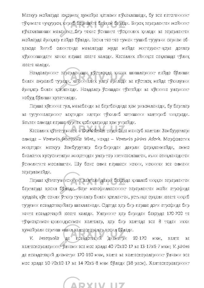 Мазкур жойларда юқориги ҳужайра қатлами пўкаклашади, бу эса патогеннинг тўқимага чуқурроқ кириб боришига барҳам беради. Бироқ зарарланган жойнинг пўкаклашиши меванинг бир текис ўсишига тўсқинлик қилади ва зарарланган жойларда ёриқлар пайдо бўлади. Іосил тез-тез туман тушиб турувчи сернам об- ҳавода йиғиб олинганда меваларда жуда майда жигарранг-қора доғлар кўринишидаги кечки парша юзага келади. Касаллик айниқса сақлашда тўлиқ юзага келади. Новдаларнинг зарарланиши пўстлоқда кичик шишларнинг пайдо бўлиши билан ажралиб туради, кейинчалик улар ёрилади ва пўстлоқ майда тўкилувчи ёриқлар билан қопланади. Новдалар ўсишдан тўхтайди ва кўпинча уларнинг нобуд бўлиши кузатилади. Парша кўпинча гул, мевабанди ва баргбандида ҳам ривожланади, бу барглар ва тугунчаларнинг вақтидан илгари тўкилиб кетишини келтириб чиқаради. Баъзан олмада парша куртак қобиқларида ҳам учрайди. Касаллик қўзғатувчиси – Dothideales тартибига мансуб халтали Замбуруғлар: олмада – Venturia inaequalis Wint., нокда – Venturia pirina Aderh. Морфологик жиҳатдан мазкур Замбуруғлар бир-биридан деярли фарқланмайди, аммо биологик хусусиятлари жиҳатидан улар тор ихтисослашган, яъни озиқланадиган ўсимлигига мослашган. Шу боис олма паршаси нокни, нокники эса олмани зарарламайди. Парша қўзғатувчисининг халтали даври баҳорда қишлаб чиққан зарарланган баргларда ҳосил бўлади. Барг мезофилласининг зарарланган жойи атрофида куздаёқ кўп сонли ўткир тукчалар билан қопланган, устьица орқали юзага чиқиб турувчи псевдотецийлар шаклланади. Одатда ҳар бир парша доғи атрофида бир нечта псевдотеций юзага келади. Уларнинг ҳар биридан баҳорда 120-200 та тўқмоқсимон-цилиндрсимон халталар, ҳар бир халтада эса 8 тадан икки ҳужайрали сарғиш-яшил халтаспоралар ҳосил бўлади. V. inaequalis да псевдотеций диаметри 90-120 мкм, халта ва халтаспораларнинг ўлчами эса мос ҳолда 40-70х10-12 ва 13-17х6-7 мкм; V. pirina да псевдотеций диаметри 120-160 мкм, халта ва халтаспораларнинг ўлчами эса мос ҳолда 50-70х10-12 ва 14-20х5-8 мкм бўлади (38-расм). Халтаспораларнинг 