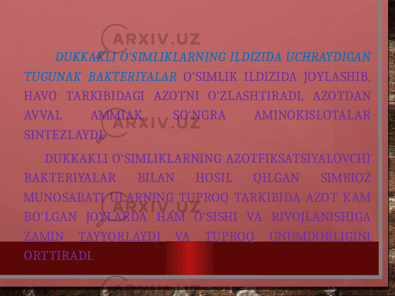  DUKKAKLI O‘SIMLIKLARNING ILDIZIDA UCHRAYDIGAN TUGUNAK BAKTERIYALAR O‘SIMLIK ILDIZIDA JOYLASHIB, HAVO TARKIBIDAGI AZOTNI O‘ZLASHTIRADI, AZOTDAN AVVAL AMMIAK, SO‘NGRA AMINOKISLOTALAR SINTEZLAYDI. DUKKAKLI O‘SIMLIKLARNING AZOTFIKSATSIYALOVCHI BAKTERIYALAR BILAN HOSIL QILGAN SIMBIOZ MUNOSABATI ULARNING TUPROQ TARKIBIDA AZOT KAM BO‘LGAN JOYLARDA HAM O‘SISHI VA RIVOJLANISHIGA ZAMIN TAYYORLAYDI VA TUPROQ UNUMDORLIGINI ORTTIRADI. 