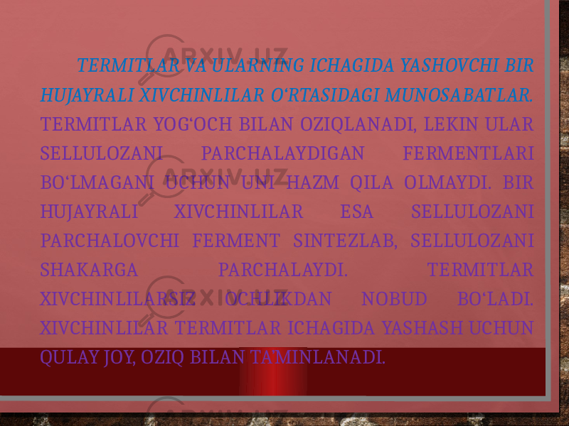  TERMITLAR VA ULARNING ICHAGIDA YASHOVCHI BIR HUJAYRALI XIVCHINLILAR O‘RTASIDAGI MUNOSABATLAR. TERMITLAR YOG‘OCH BILAN OZIQLANADI, LEKIN ULAR SELLULOZANI PARCHALAYDIGAN FERMENTLARI BO‘LMAGANI UCHUN UNI HAZM QILA OLMAYDI. BIR HUJAYRALI XIVCHINLILAR ESA SELLULOZANI PARCHALOVCHI FERMENT SINTEZLAB, SELLULOZANI SHAKARGA PARCHALAYDI. TERMITLAR XIVCHINLILARSIZ OCHLIKDAN NOBUD BO‘LADI. XIVCHINLILAR TERMITLAR ICHAGIDA YASHASH UCHUN QULAY JOY, OZIQ BILAN TA’MINLANADI. 