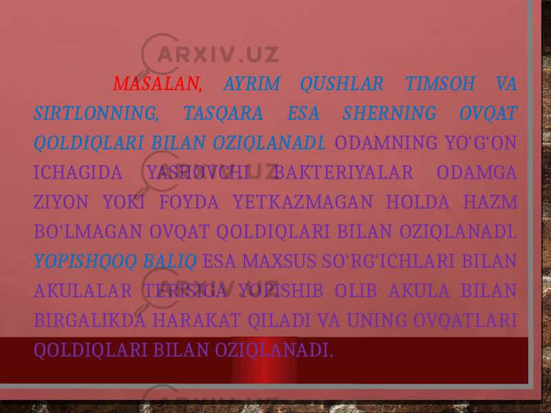  MASALAN, AYRIM QUSHLAR TIMSOH VA SIRTLONNING, TASQARA ESA SHERNING OVQAT QOLDIQLARI BILAN OZIQLANADI. ODAMNING YO‘G‘ON ICHAGIDA YASHOVCHI BAKTERIYALAR ODAMGA ZIYON YOKI FOYDA YETKAZMAGAN HOLDA HAZM BO‘LMAGAN OVQAT QOLDIQLARI BILAN OZIQLANADI. YOPISHQOQ BALIQ ESA MAXSUS SO‘RG‘ICHLARI BILAN AKULALAR TERISIGA YOPISHIB OLIB AKULA BILAN BIRGALIKDA HARAKAT QILADI VA UNING OVQATLARI QOLDIQLARI BILAN OZIQLANADI. 