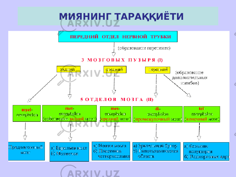  МИЯНИНГ ТАРАҚҚИЁТИ 