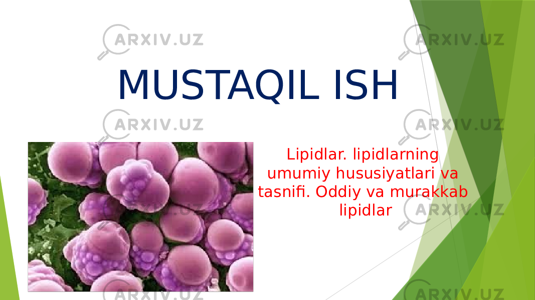 MUSTAQIL ISH Lipidlar. lipidlarning umumiy hususiyatlari va tasnifi. Oddiy va murakkab lipidlar 