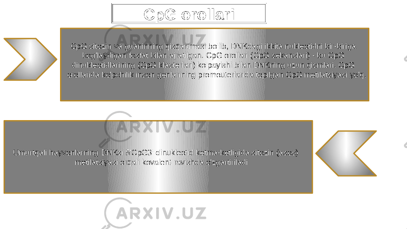 CpG orollari CpG sitozin va guaninning qisqartmasi bo&#39;lib, DNKdagi ikkita nukleotidni bir-biriga bog&#39;laydigan fosfat bilan ajratilgan. CpG orollari (CpG sekanslari) - bu CpG dinukleotidlarining (CpG klasterlari) ko&#39;payishi bilan DNKning uzun qismlari. CpG orollarida ko&#39;pchilik inson genlarining promouterlarida topilgan CpG metilatsiyasi yo&#39;q. Umurtqali hayvonlarning DNKsi 5&#39;CpG3&#39; dinukleotid ketma-ketligida sitozin (asos) metilatsiyasi orqali kovalent ravishda o&#39;zgartiriladi 