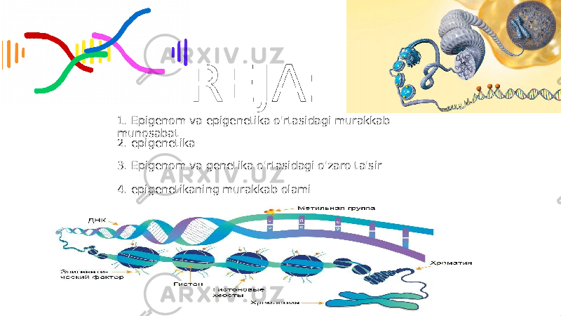 REJA: 2. epigenetika 3. Epigenom va genetika o&#39;rtasidagi o&#39;zaro ta&#39;sir 4. epigenetikaning murakkab olami1. Epigenom va epigenetika o&#39;rtasidagi murakkab munosabat 