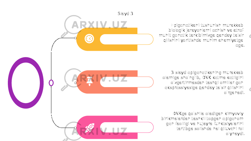 Slayd 3 3-slayd epigenetikaning murakkab olamiga sho&#39;ng&#39;ib, DNK ketma-ketligini o&#39;zgartirmasdan tashqi omillar gen ekspressiyasiga qanday ta&#39;sir qilishini o&#39;rganadi. DNKga qo&#39;shila oladigan kimyoviy birikmalardan tashkil topgan epigenom gen faolligi va hujayra funktsiyalarini tartibga solishda hal qiluvchi rol o&#39;ynaydi.Epigenetikani tushunish murakkab biologik jarayonlarni ochish va atrof- muhit genetik tarkibimizga qanday ta&#39;sir qilishini yoritishda muhim ahamiyatga ega. 