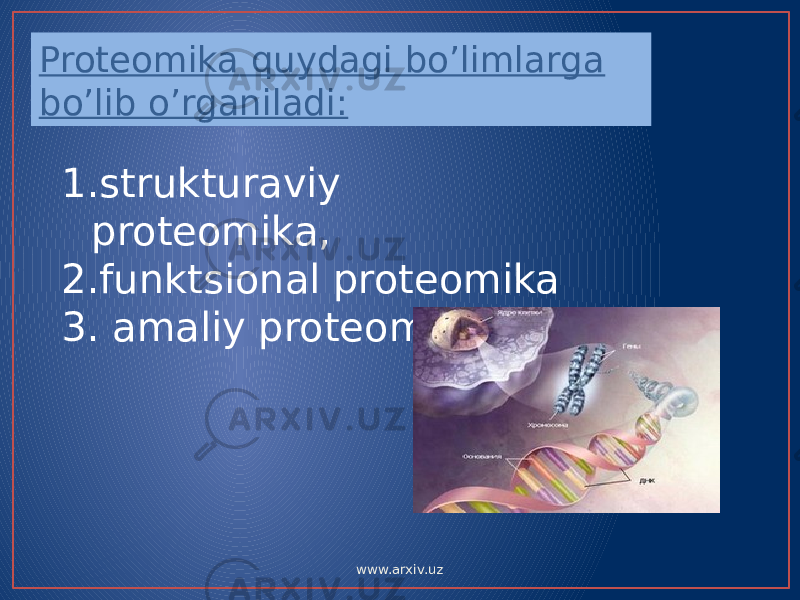 Proteomika quydagi bo’limlarga bo’lib o’rganiladi: 1. strukturaviy proteomika, 2. funktsional proteomika 3. amaliy proteomika. www.arxiv.uz 