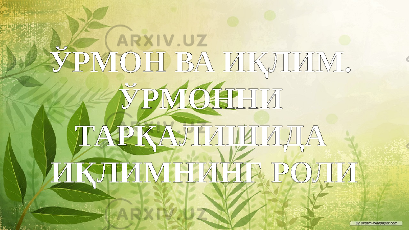 ЎРМОН ВА ИҚЛИМ. ЎРМОННИ ТАРҚАЛИШИДА ИҚЛИМНИНГ РОЛИ 