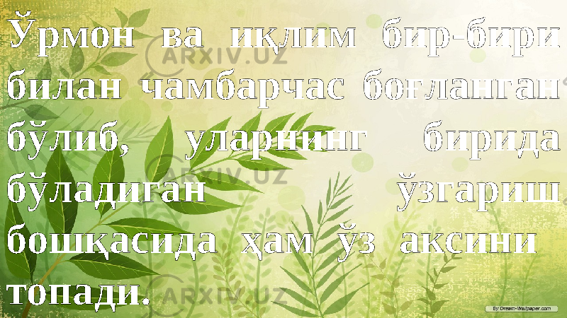 Ўрмон ва иқлим бир-бири билан чамбарчас боғланган бўлиб, уларнинг бирида бўладиган ўзгариш бошқасида ҳам ўз аксини топади. 