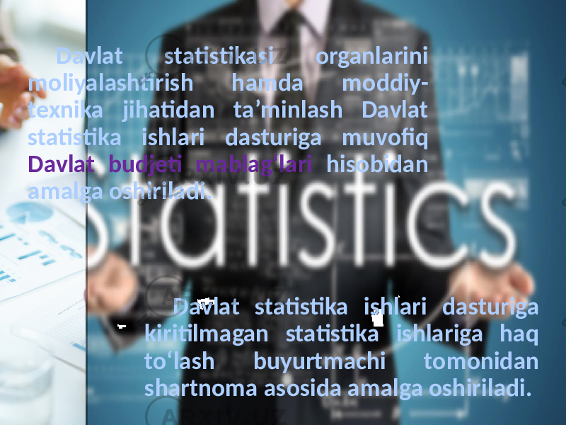 Davlat statistikasi organlarini moliyalashtirish hamda moddiy- texnika jihatidan ta’minlash Davlat statistika ishlari dasturiga muvofiq Davlat budjeti mablag‘lari hisobidan amalga oshiriladi. Davlat statistika ishlari dasturiga kiritilmagan statistika ishlariga haq to‘lash buyurtmachi tomonidan shartnoma asosida amalga oshiriladi. 