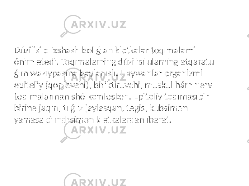 Dúzilisi o &#39;xshash bol ǵ an kletkalar toqımalami ónim etedi. Toqımalaming dúzilisi ulaming atqaratu ǵ ın wazıypasına baylanıslı. Haywanlar organizmi epiteliy (qoplovchi), biriktiruvchi, muskul hám nerv toqımalarınan shólkemlesken. Epiteliy toqımasıbir birine jaqın, tı ǵ ız jaylasqan, tegis, kubsimon yamasa cilindrsimon kletkalardan ibarat. 