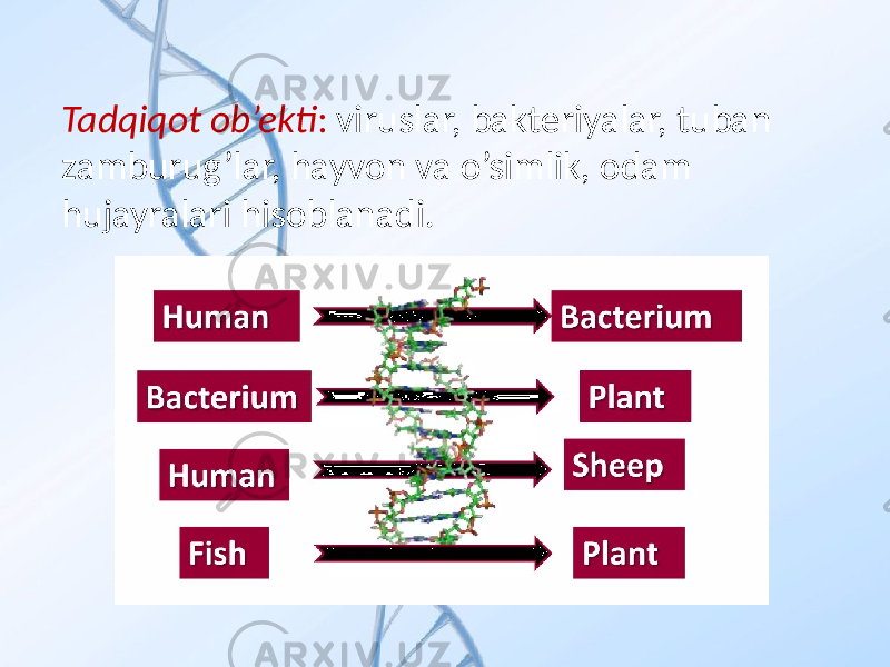 Tadqiqot ob’ekti : viruslar, bakteriyalar, tuban zamburug’lar, hayvon va o’simlik, odam hujayralari hisoblanadi. 